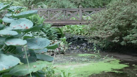 Eine-Holzbrücke-überspannt-Einen-Kleinen-Bach,-Der-In-Einen-Teich-Mündet