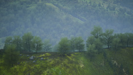 lush green hills and misty valleys create a tranquil atmosphere in nature