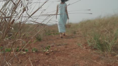 passing by shot out of focus of a woman in a blue dress with a basket in her hand walking across a dirt field