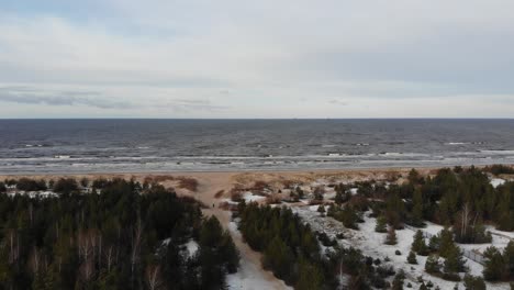 scenic aerial view over spruce tree forest towards sandy seaside and waves with land covered in snow on a sunny winter day