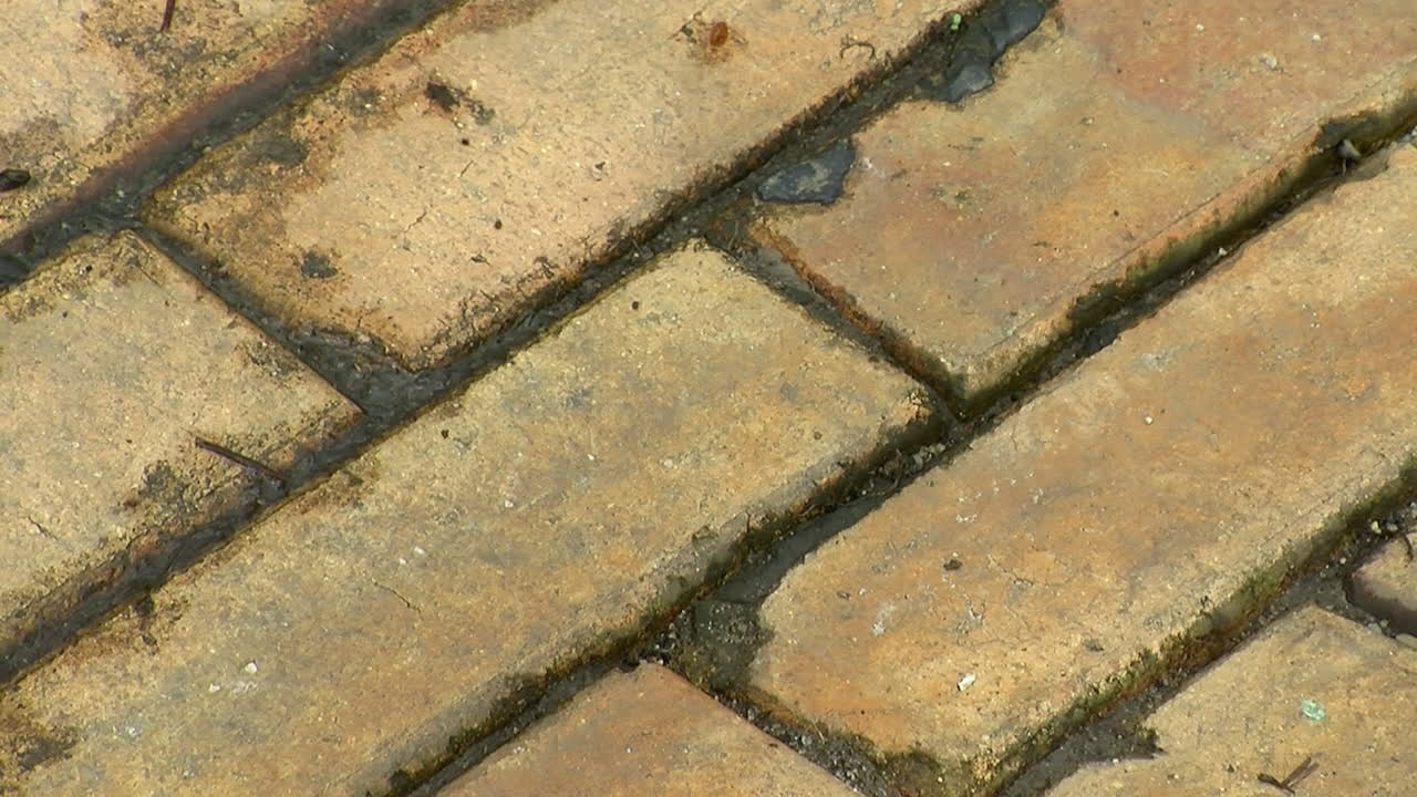 el primer plano del pavimento de ladrillo se aleja lentamente