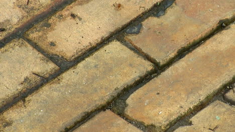 close-up of brick paving slowly zooms out