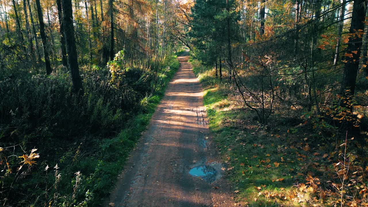 Aerial view of a rural road with in yellow and orange autumn forest