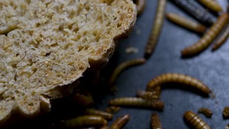 the mealworm is a species of darkling beetle used to feed pets like fish, snakes, birds, and frogs