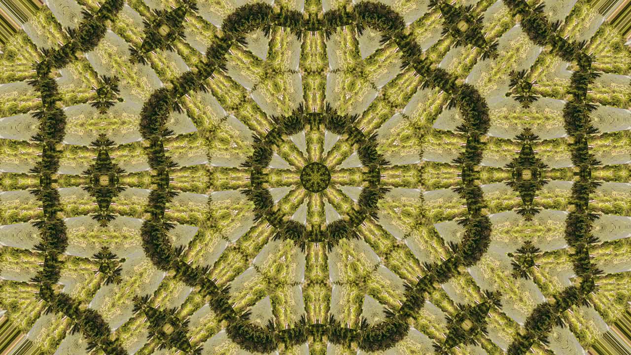 círculo festival de la luz