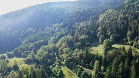 gentle drone ride over the wooded slopes of a mountain landscape with a river course