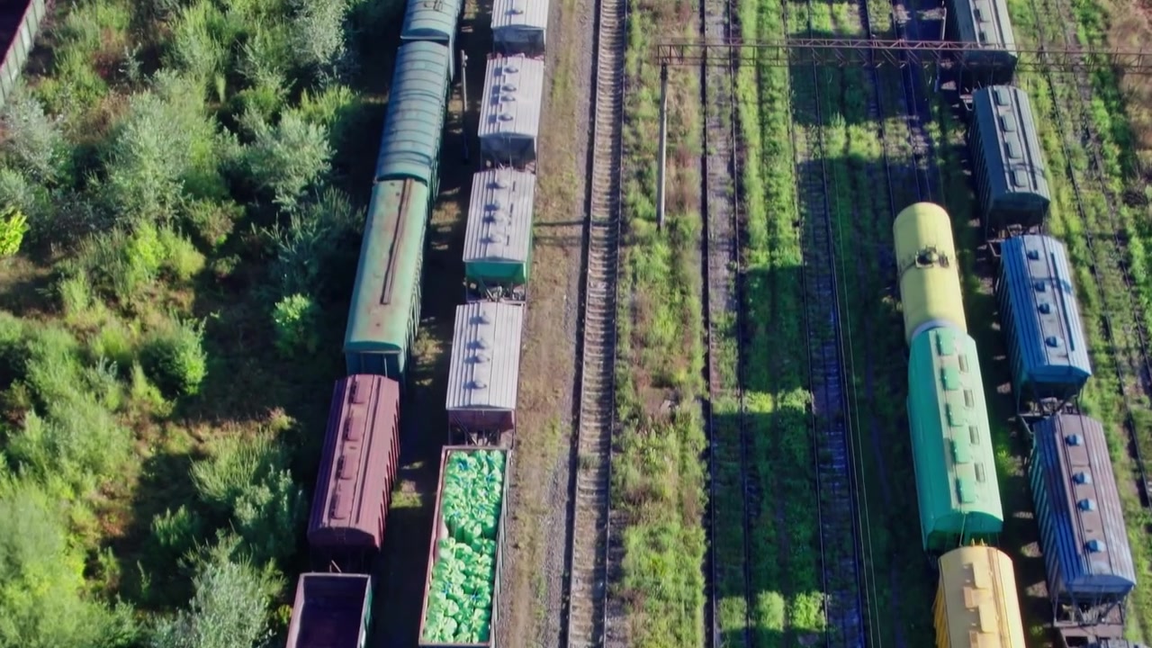 Vagoni ferroviari carichi di merci vicino a binari invasi dalla vegetazione in una giornata di sole