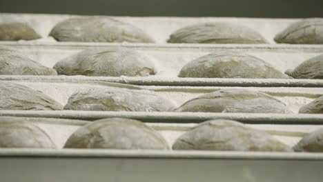 fresh batch of risen bread dough stacked neatly in a shelf ready for baking