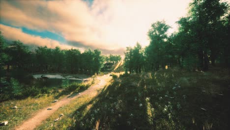 Fuertes-Nubes-De-Lluvia-Sobre-El-Campo-Al-Atardecer