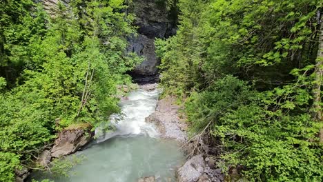 static shot of powerful water stream in forest in switzerland