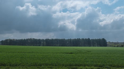 beautiful timelapse of clouds over green fields