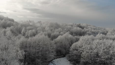Frozen-world,-frost-covered-trees,-woodland-scenery,-sky-lit-by-sunlight,-aerial