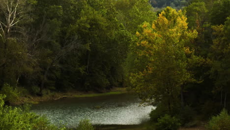 Río-Tranquilo-En-El-Bosque-De-Otoño-Cerca-De-Durham,-Arkansas,-Estados-Unidos