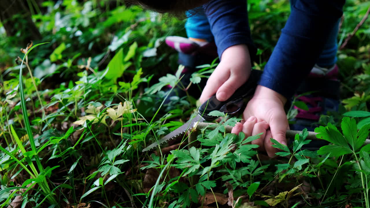 스위스 칼을 사용하는 어린 소녀나 소년의 손, 숲에서 나무 조각을 톱질, 아무도-3