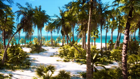 desert-island-with-palm-trees-on-the-beach