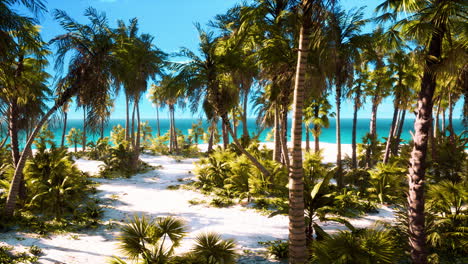 une île déserte avec des palmiers sur la plage