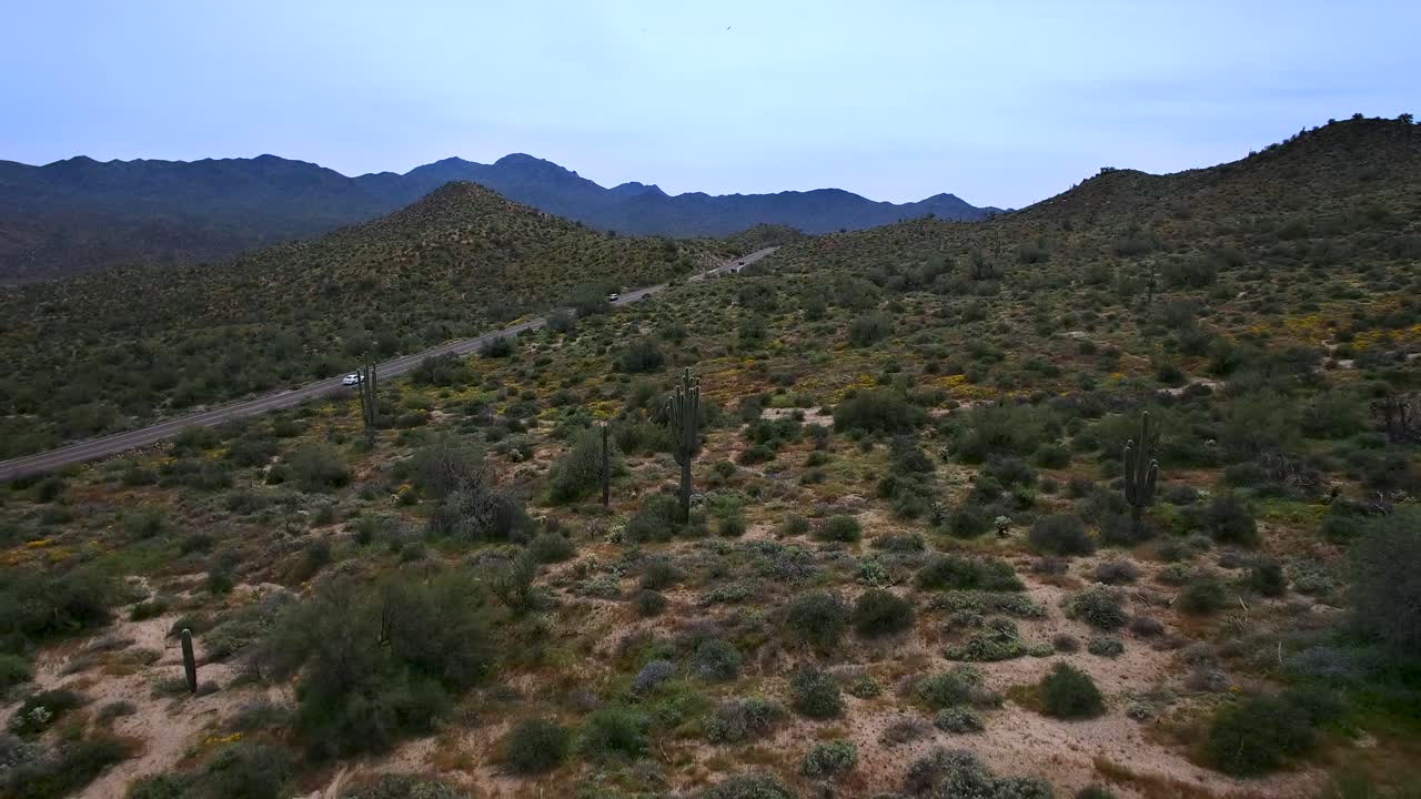 retirada aérea de un solitario camino del desierto hacia el desierto de flores de primavera que revela el lago bartlett, el bosque nacional tonto, scottsdale, arizona