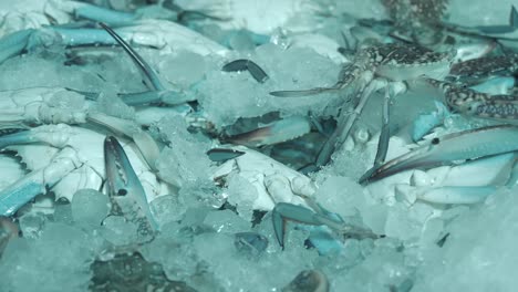 crabs on ice