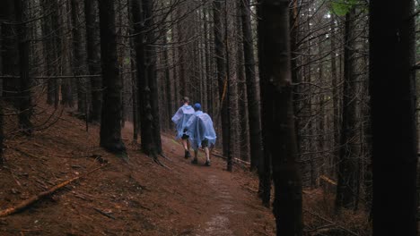 Toma-Panorámica-Lenta-A-La-Derecha-De-Dos-Excursionistas,-Con-Capas-De-Lluvia-Azul-Claro,-Caminando-Por-Un-Sendero-De-Montaña-En-Un-Oscuro-Bosque-De-Coníferas