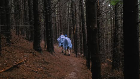 toma panorámica lenta a la derecha de dos excursionistas, con capas de lluvia azul claro, caminando por un sendero de montaña en un oscuro bosque de coníferas