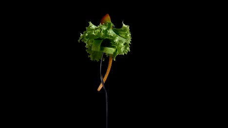 vegetables salad food on fork on black background.