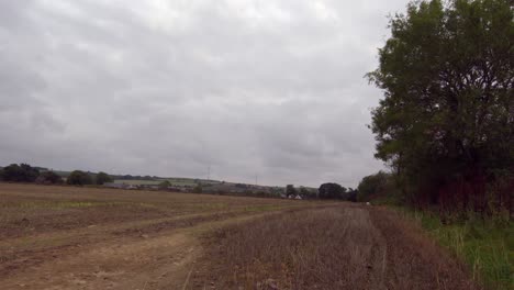 Tranquil-farm-field