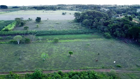 Vista-Aérea-De-Un-Campo-De-Cultivo-En-Video-Paraguay