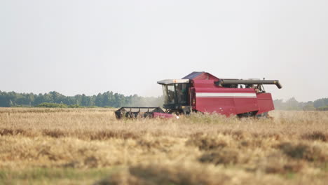 combine harvester working in a wheat field