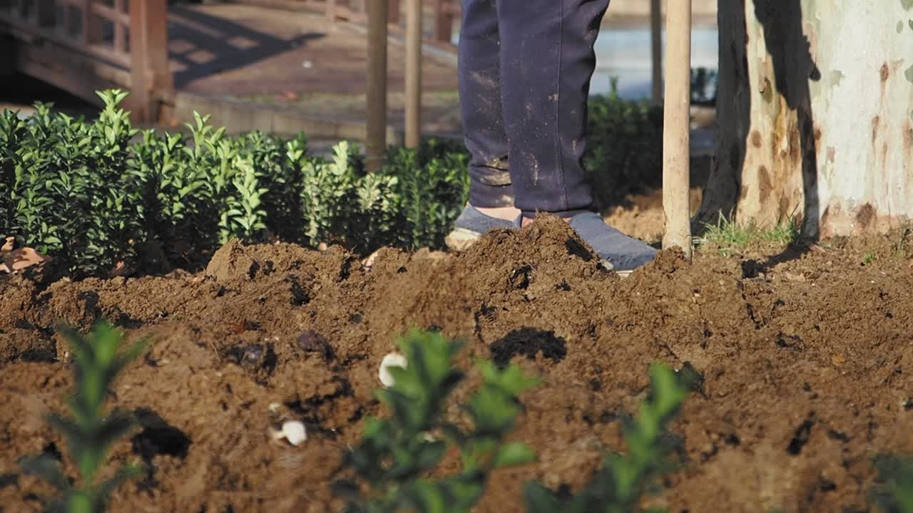 Person Gardening