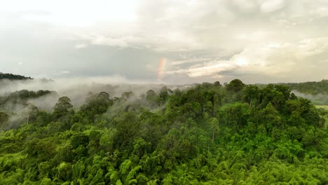 Rainbow and clouds in the rainforest in Vietnam