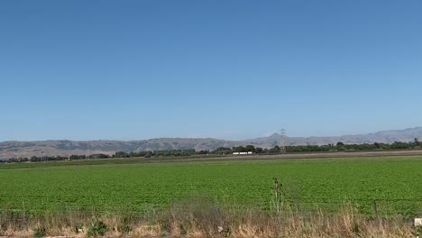 pasando por grandes acres de campos comerciales de fresas en la autopista 101 del norte de california