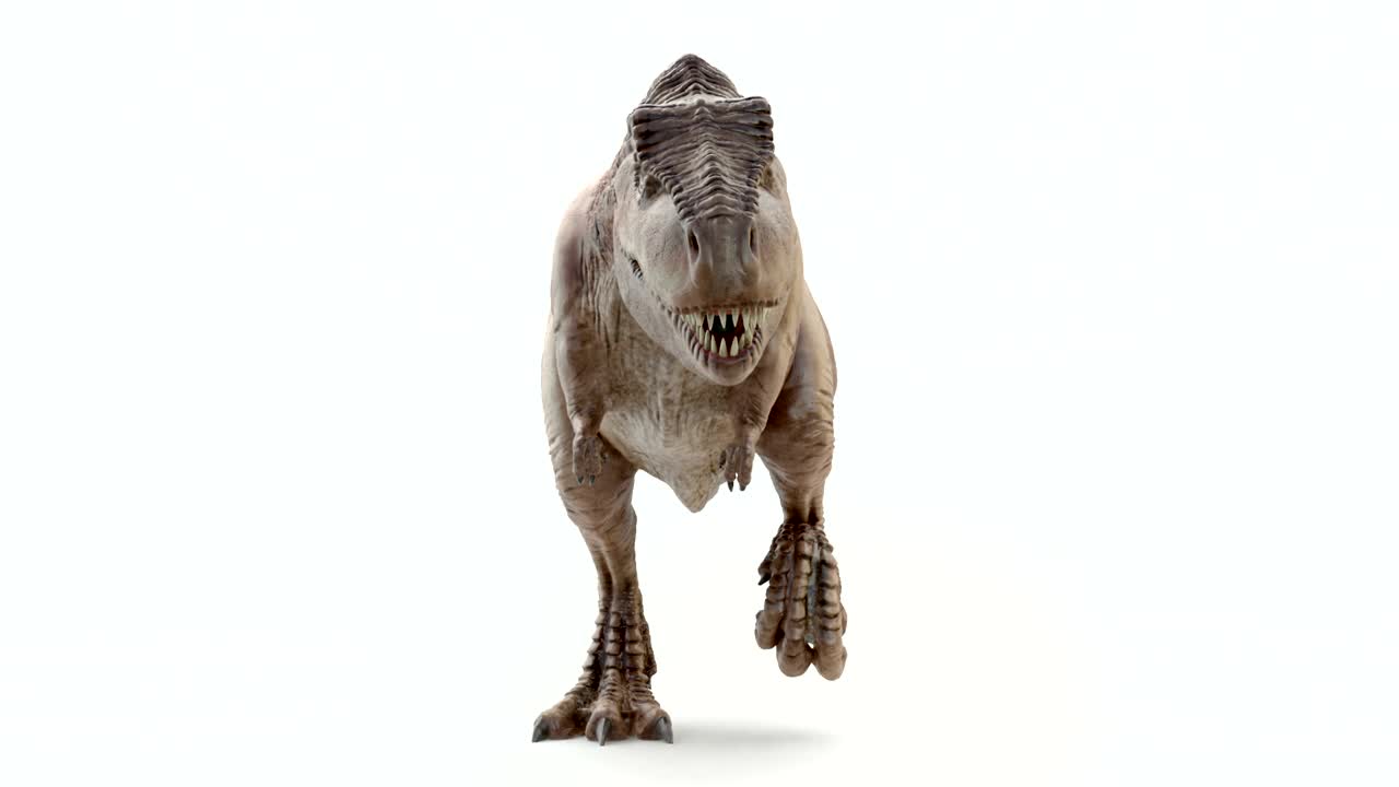 tyrannosaurus rex en movimiento de caminata