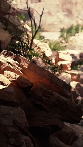 sunlit rocks in an arid canyon