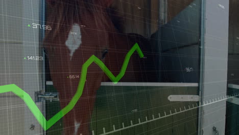 translucent chart displaying green zigzag line overlaying wooden siding with strap hinge panel door