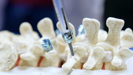 little medical screws are extracted form a spine dummy with the help of the tool. close up. practicing neurosurgery.