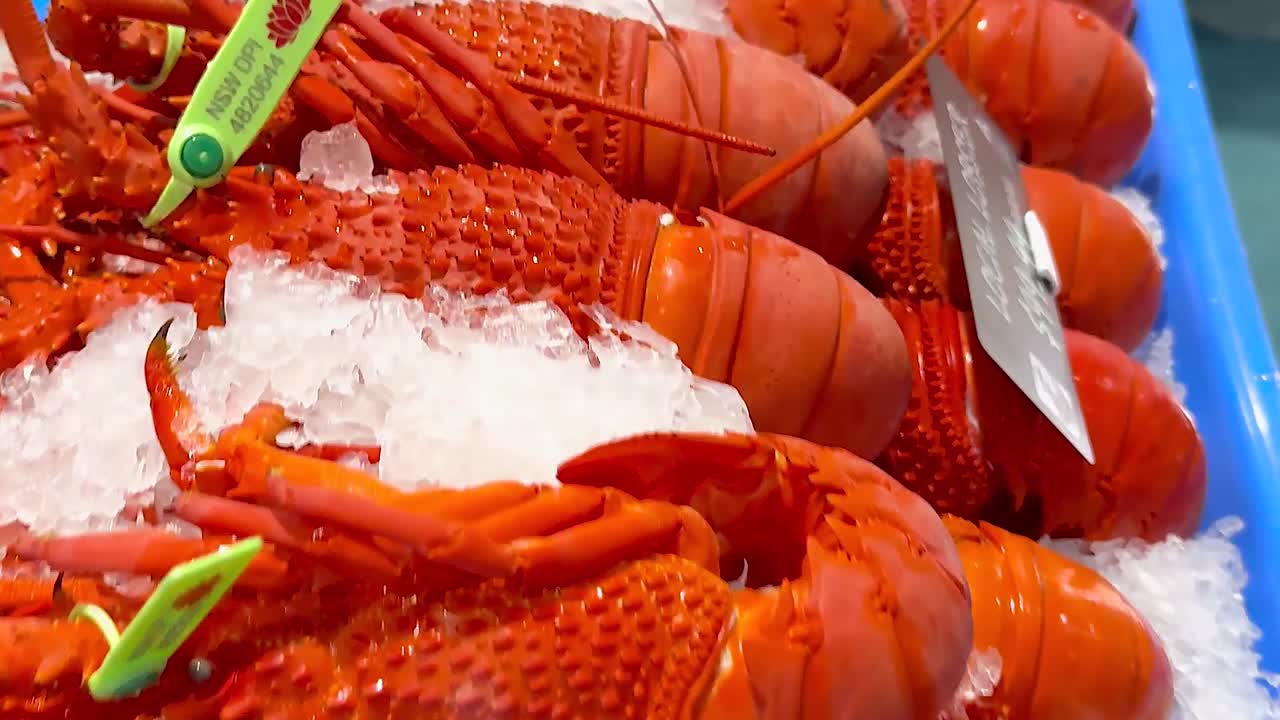 Vibrant display of seafood at Australian market