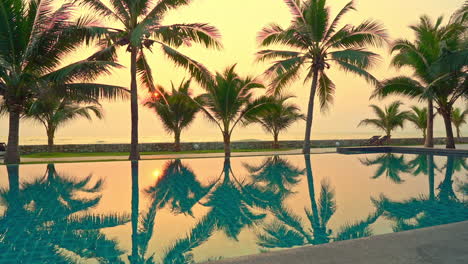 view of empty swimming pool, still water and palm trees at sunset