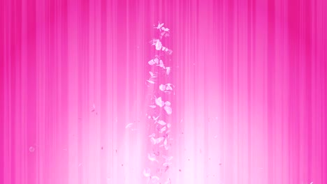 spiral shiny particle of cherry blossoms. sakura pattern. japanese cherry dancing. vortex from pink petals. abstract loop animation.