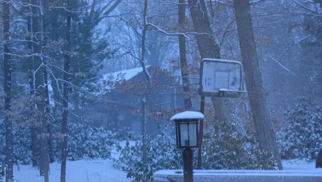 Blauer-Ozark-ähnlicher-Schnitt-über-Schneefall