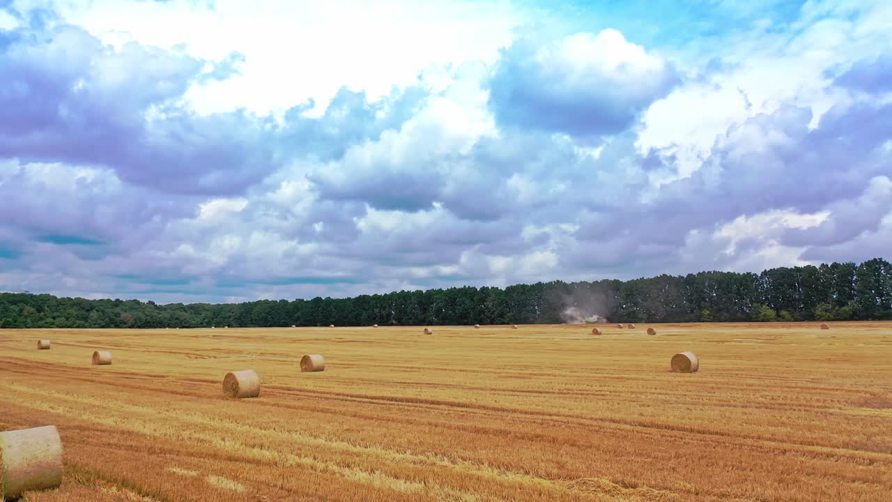 Agricultural field with many pressed bales in summer. Round fodder bales in the farmland. Yellow hay bundles on the field for livestock on the natural background.