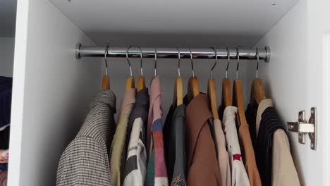 organized closet with clothes on hangers