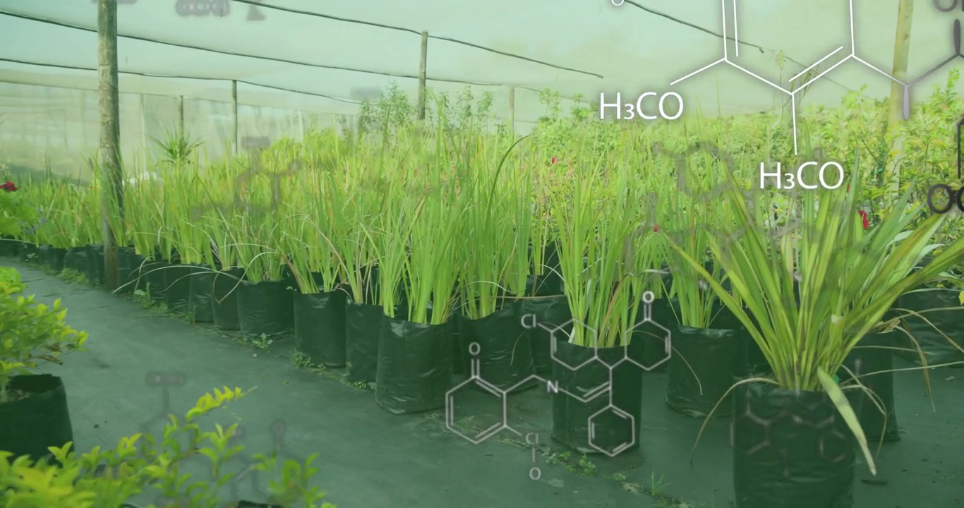 Camera zooming into grass in pots, panning right revealing greenhouse chemical overlays dissolving