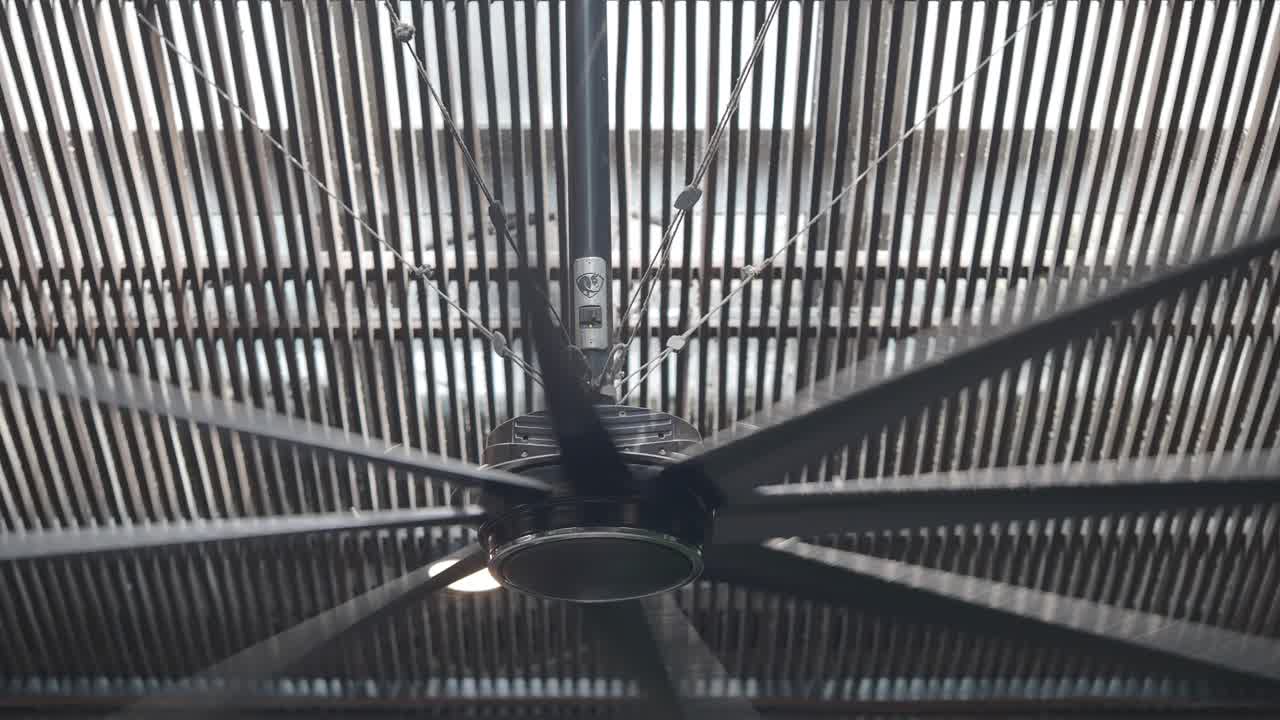 Modern Black Ceiling Fan with Wooden Slatted Ceiling