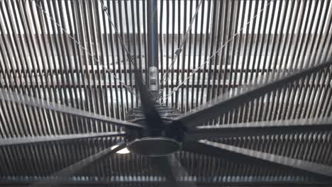modern black ceiling fan with wooden slatted ceiling