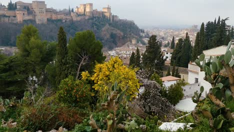 tilt shot over alhambra and green vegetation