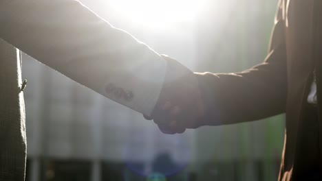 Business handshake against sunset sunshine