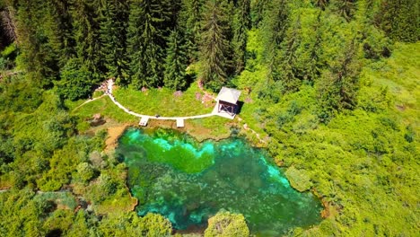 aerial 4k drone footage of zelenci springs