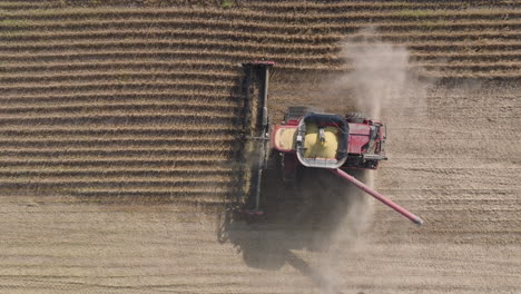 Draufsicht-Auf-Den-Mähdrescher-Mit-Verlängerter-Rutsche-Bei-Der-Ernte-Trockener-Sojabohnen