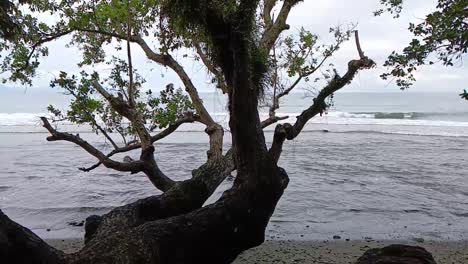 el paisaje de la playa de tapalang en mamuju, sulawesi occidental, indonesia en cámara lenta