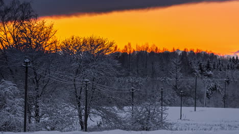 Abendzeit-Mit-Gelblichem-Himmel-Im-Winterwald